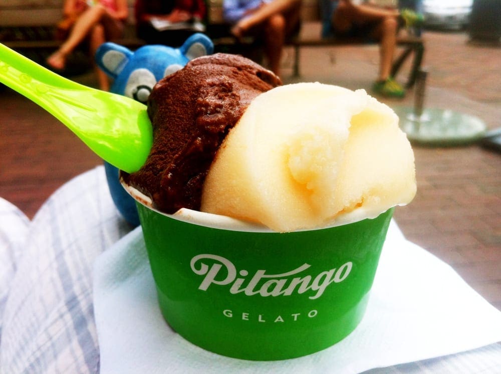 Chocolate Noir from Pitango Gelato