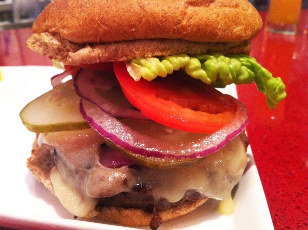 Bison Burger from Funxion